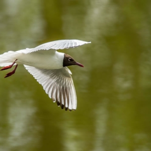 Untitled (98 Of 98).jpg